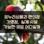온누리상품권 편의점 가맹점, 실제 사용 가능한 곳은 어디일까