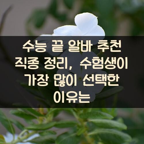 수능 끝 알바 추천 직종 정리, 수험생이 가장 많이 선택한 이유는?