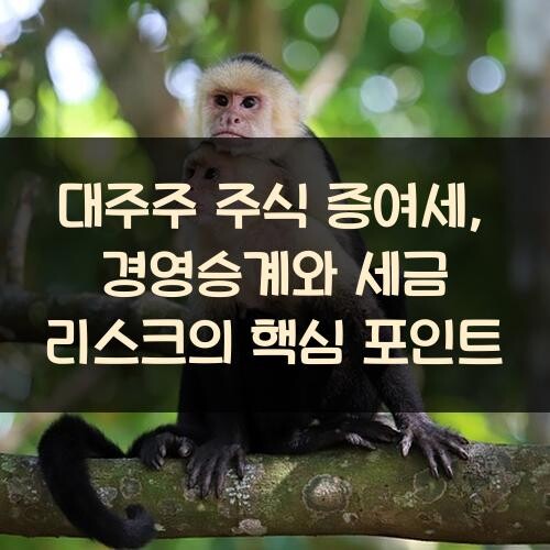 대주주 주식 증여세, 경영승계와 세금 리스크의 핵심 포인트