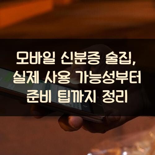 모바일 신분증 술집, 실제 사용 가능성부터 준비 팁까지 정리