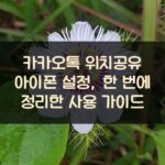 카카오톡 위치공유 아이폰 설정, 한 번에 정리한 사용 가이드