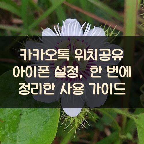 카카오톡 위치공유 아이폰 설정, 한 번에 정리한 사용 가이드