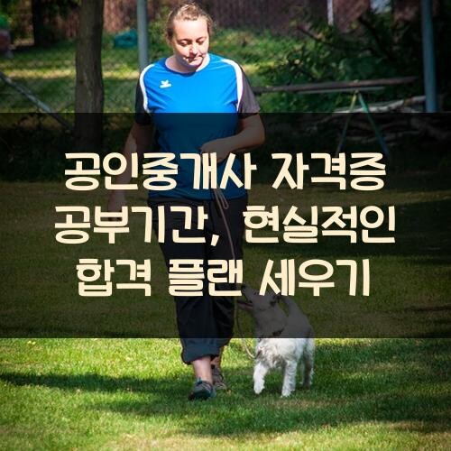 공인중개사 자격증 공부기간, 현실적인 합격 플랜 세우기