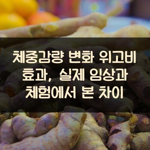 체중감량 변화 위고비 효과, 실제 임상과 체험에서 본 차이