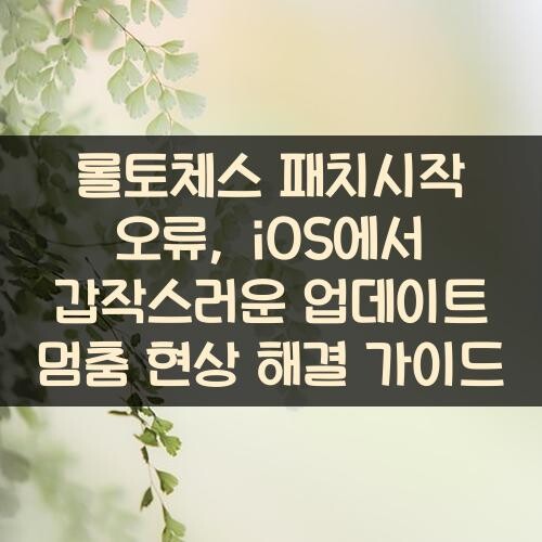 롤토체스 패치시작 오류, iOS에서 갑작스러운 업데이트 멈춤 현상 해결 가이드