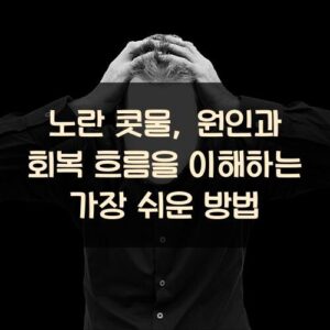 노란 콧물, 원인과 회복 흐름을 이해하는 가장 쉬운 방법