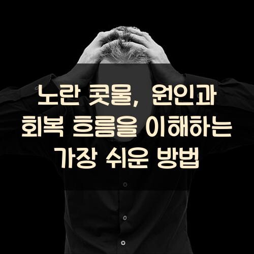 노란 콧물, 원인과 회복 흐름을 이해하는 가장 쉬운 방법