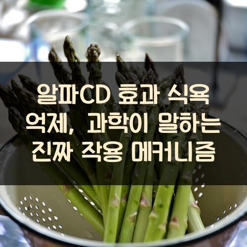 알파CD 효과 식욕 억제, 과학이 말하는 진짜 작용 메커니즘
