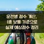 운전병 점수 계산, 1종 보통 기준으로 실제 예상점수 정리