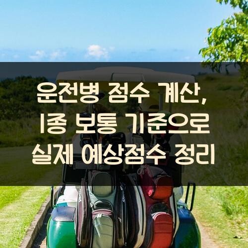 운전병 점수 계산, 1종 보통 기준으로 실제 예상점수 정리