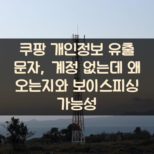 쿠팡 개인정보 유출 문자, 계정 없는데 왜 오는지와 보이스피싱 가능성
