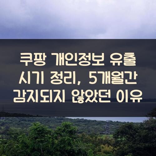 쿠팡 개인정보 유출 시기 정리, 5개월간 감지되지 않았던 이유