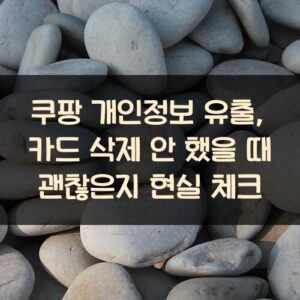 쿠팡 개인정보 유출, 카드 삭제 안 했을 때 괜찮은지 현실 체크
