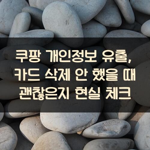 쿠팡 개인정보 유출, 카드 삭제 안 했을 때 괜찮은지 현실 체크