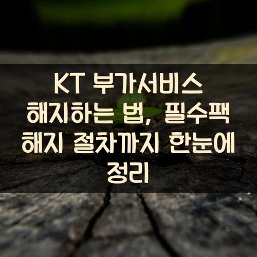 KT 부가서비스 해지하는 법, 필수팩 해지 절차까지 한눈에 정리