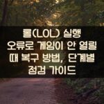 롤(LOL) 실행 오류로 게임이 안 열릴 때 복구 방법, 단계별 점검 가이드