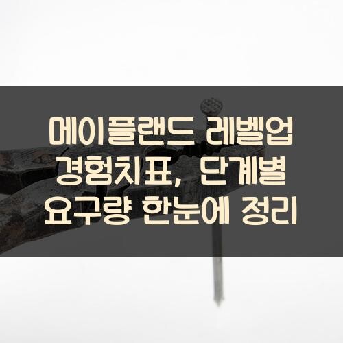 메이플랜드 레벨업 경험치표, 단계별 요구량 한눈에 정리