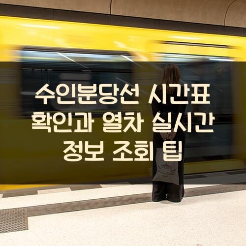 수인분당선 시간표 확인과 열차 실시간 정보 조회 팁