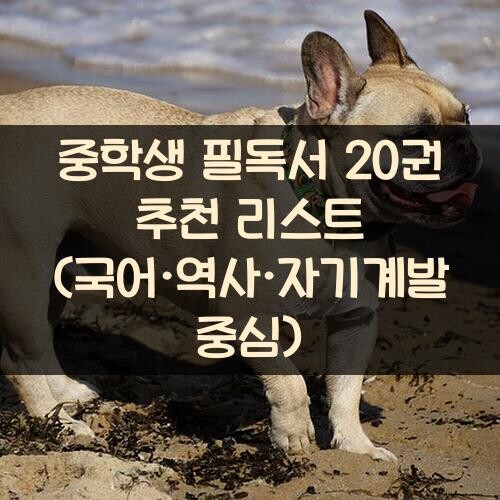 중학생 필독서 20권 추천 리스트 (국어·역사·자기계발 중심)
