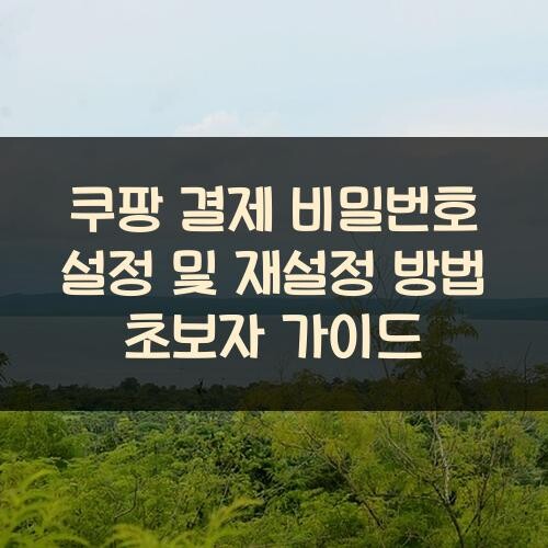 쿠팡 결제 비밀번호 설정 및 재설정 방법 초보자 가이드