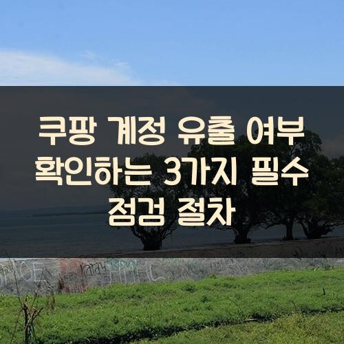쿠팡 계정 유출 여부 확인하는 3가지 필수 점검 절차