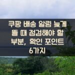 쿠팡 배송 알림 늦게 뜰 때 점검해야 할 부분, 확인 포인트 6가지
