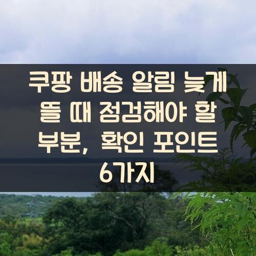 쿠팡 배송 알림 늦게 뜰 때 점검해야 할 부분, 확인 포인트 6가지