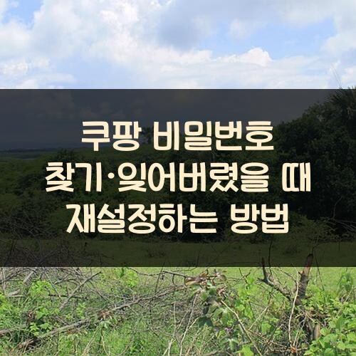 쿠팡 비밀번호 찾기·잊어버렸을 때 재설정하는 방법