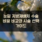 눈밑 지방재배치 수술 비용 비교와 시술 선택 가이드