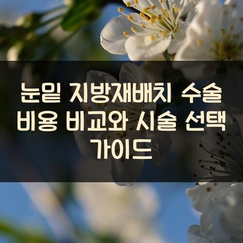 눈밑 지방재배치 수술 비용 비교와 시술 선택 가이드