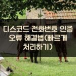 디스코드 전화번호 인증 오류 해결법(빠르게 처리하기)