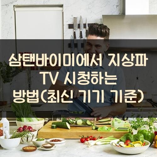 삼탠바이미에서 지상파 TV 시청하는 방법(최신 기기 기준)