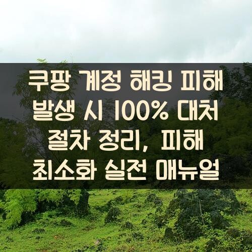 쿠팡 계정 해킹 피해 발생 시 100% 대처 절차 정리, 피해 최소화 실전 매뉴얼