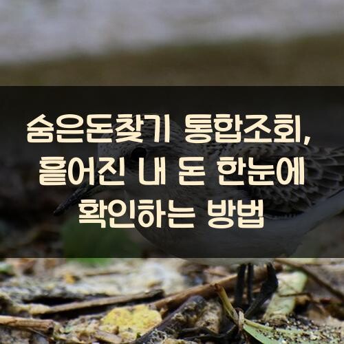 숨은돈찾기 통합조회, 흩어진 내 돈 한눈에 확인하는 방법