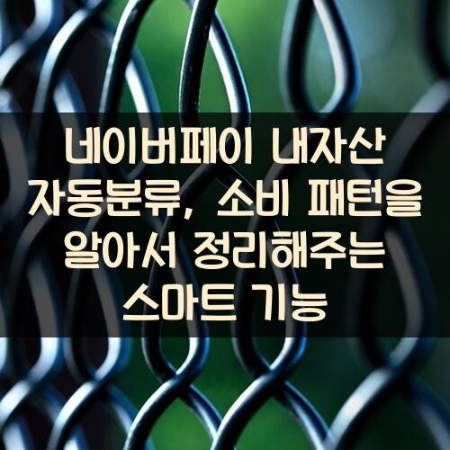 네이버페이 내자산 자동분류, 소비 패턴을 알아서 정리해주는 스마트 기능