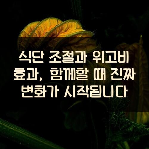식단 조절과 위고비 효과, 함께할 때 진짜 변화가 시작됩니다