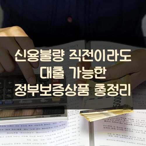 신용불량 직전이라도 대출 가능한 정부보증상품 총정리