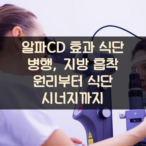 알파CD 효과 식단 병행, 지방 흡착 원리부터 식단 시너지까지