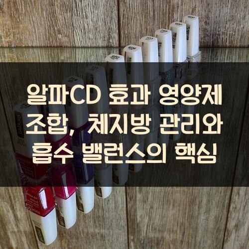 알파CD 효과 영양제 조합, 체지방 관리와 흡수 밸런스의 핵심