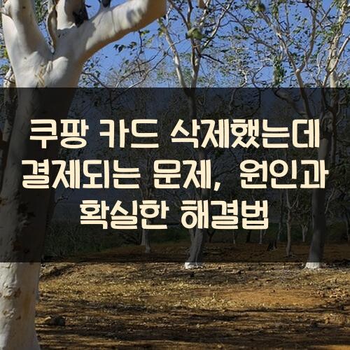 쿠팡 카드 삭제했는데 결제되는 문제, 원인과 확실한 해결법