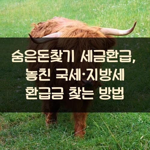 숨은돈찾기 세금환급, 놓친 국세·지방세 환급금 찾는 방법
