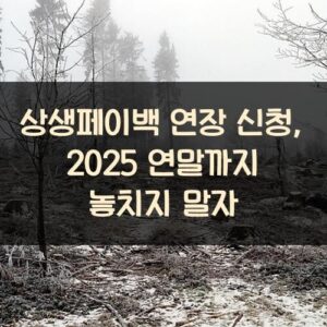 상생페이백 연장 신청, 2025 연말까지 놓치지 말자