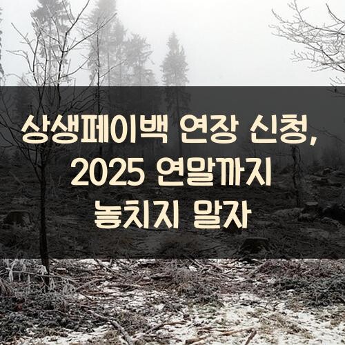 상생페이백 연장 신청, 2025 연말까지 놓치지 말자