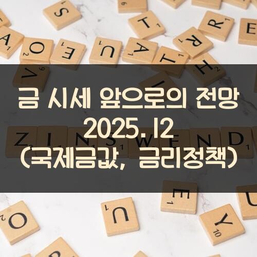 금 시세 앞으로의 전망 2025.12 (국제금값, 금리정책)
