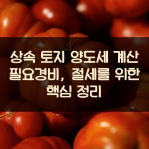 상속 토지 양도세 계산 필요경비, 절세를 위한 핵심 정리