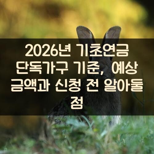 2026년 기초연금 단독가구 기준, 예상 금액과 신청 전 알아둘 점