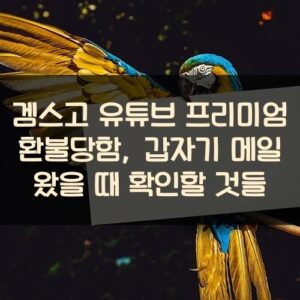 겜스고 유튜브 프리미엄 환불당함, 갑자기 메일 왔을 때 확인할 것들