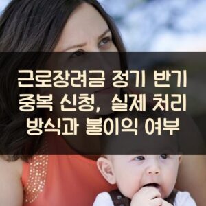 근로장려금 정기 반기 중복 신청, 실제 처리 방식과 불이익 여부