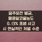 음주운전 벌금, 혈중알코올농도 0.13% 초범 사고 시 현실적인 처벌 수준