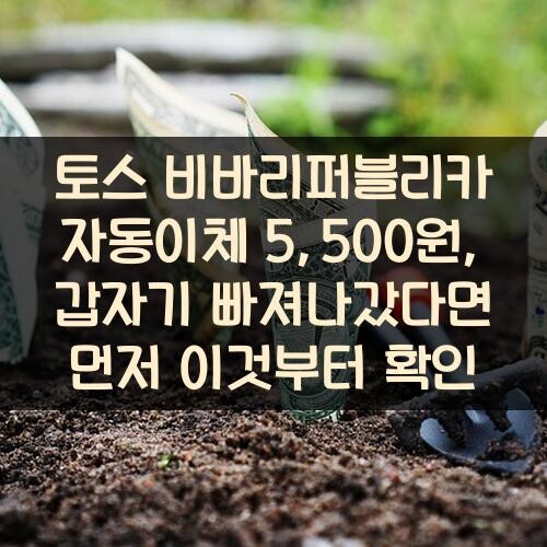 토스 비바리퍼블리카 자동이체 5,500원, 갑자기 빠져나갔다면 먼저 이것부터 확인